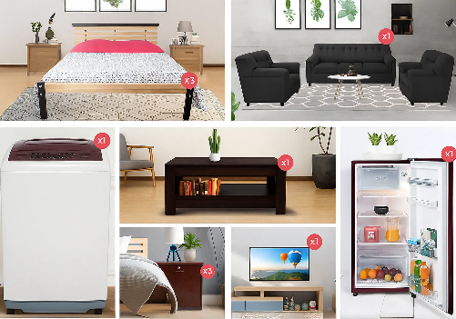 Fully Furnished 3 BHK Combo